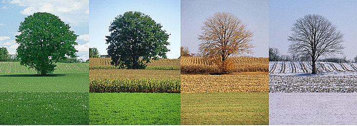 育碧计划在2024年4月之前发布10款游戏 包括神秘大作