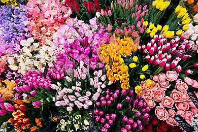 6月Xbox+B社游戏发布会时长或将长达90分钟